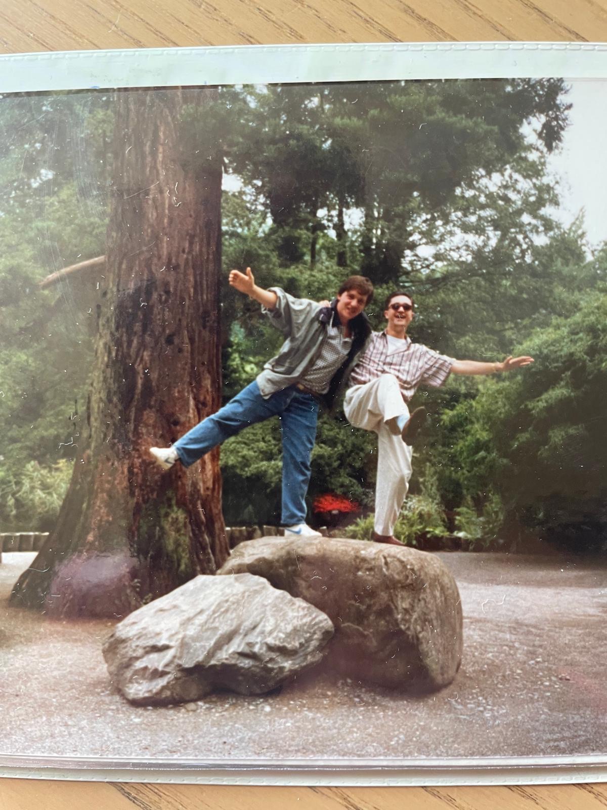In posa su rocce nel bosco
