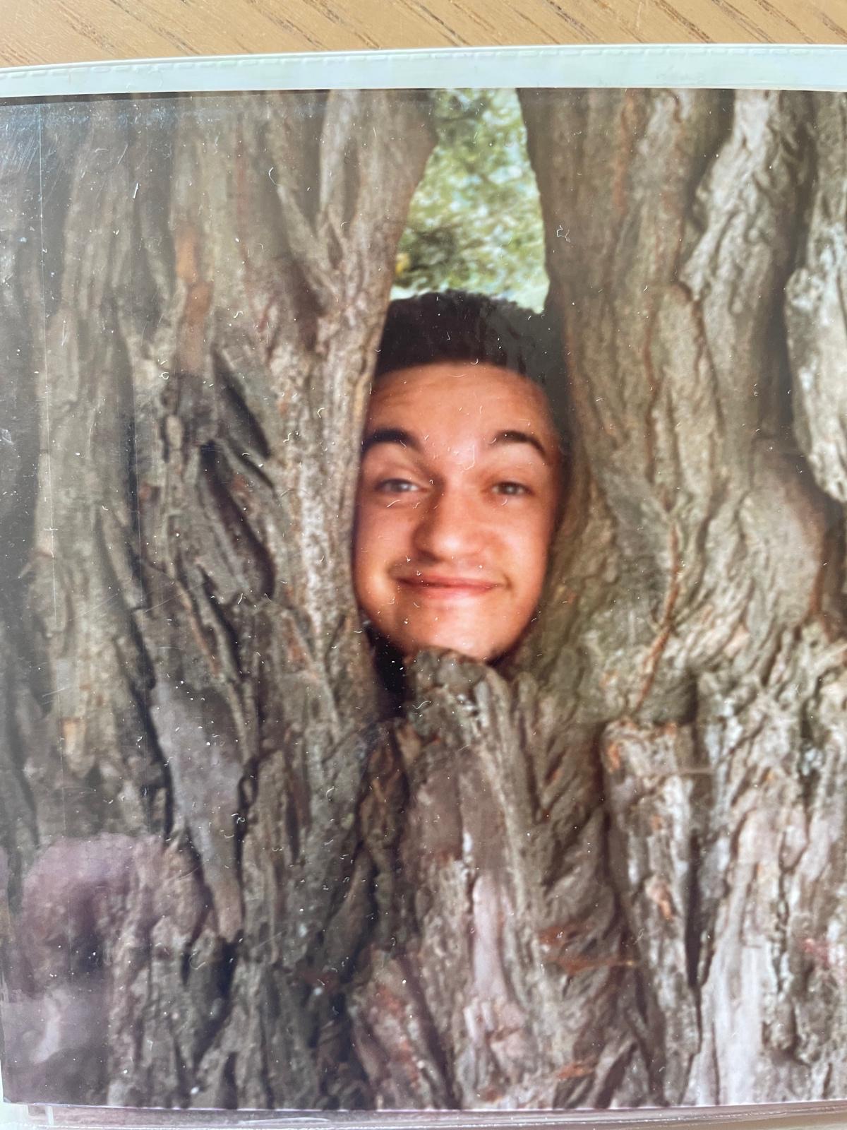 Ritratto nel tronco di un albero